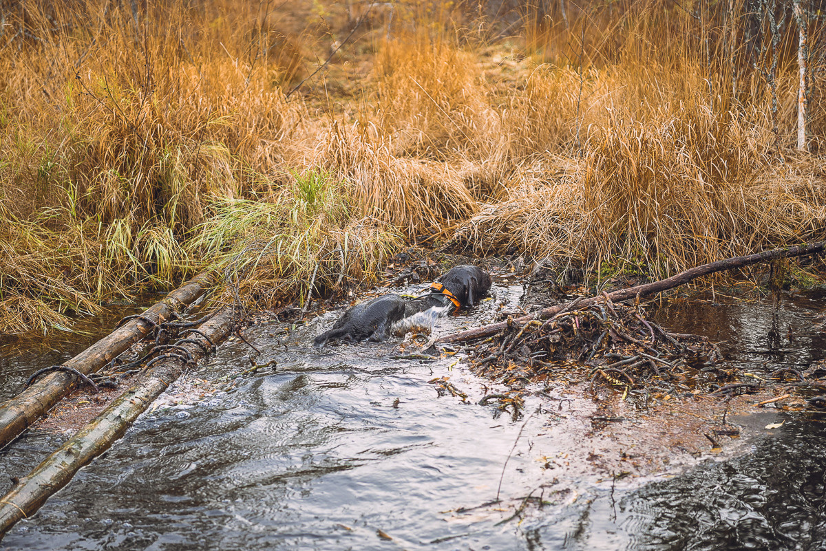 Рдея. Event фотограф Степанова Александра
