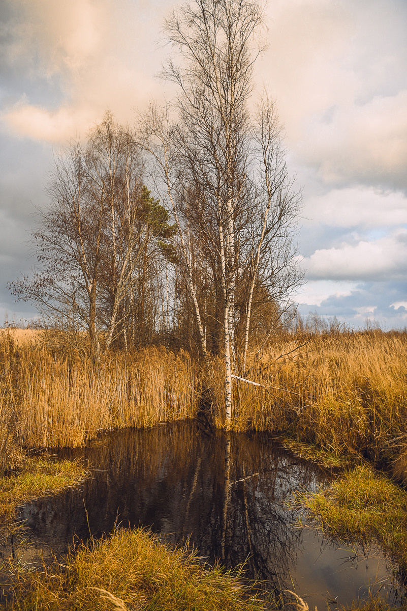 Рдея. Event фотограф Степанова Александра