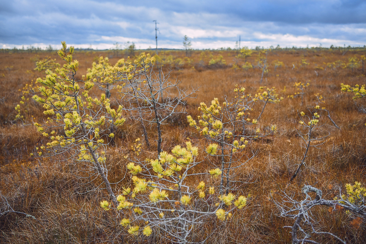 Рдея. Event фотограф Степанова Александра