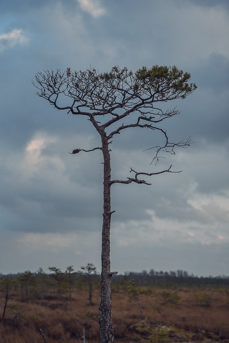 Рдея. Event фотограф Степанова Александра