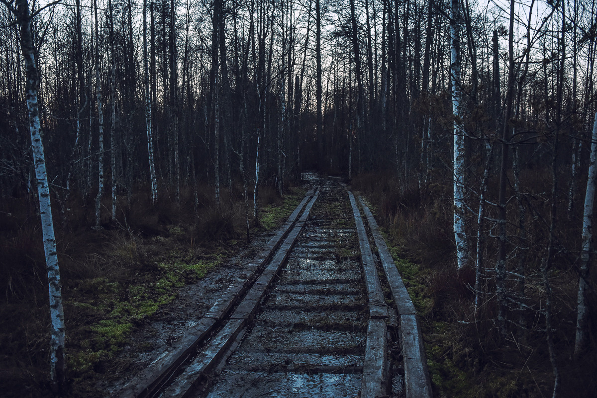 Рдея. Event фотограф Степанова Александра