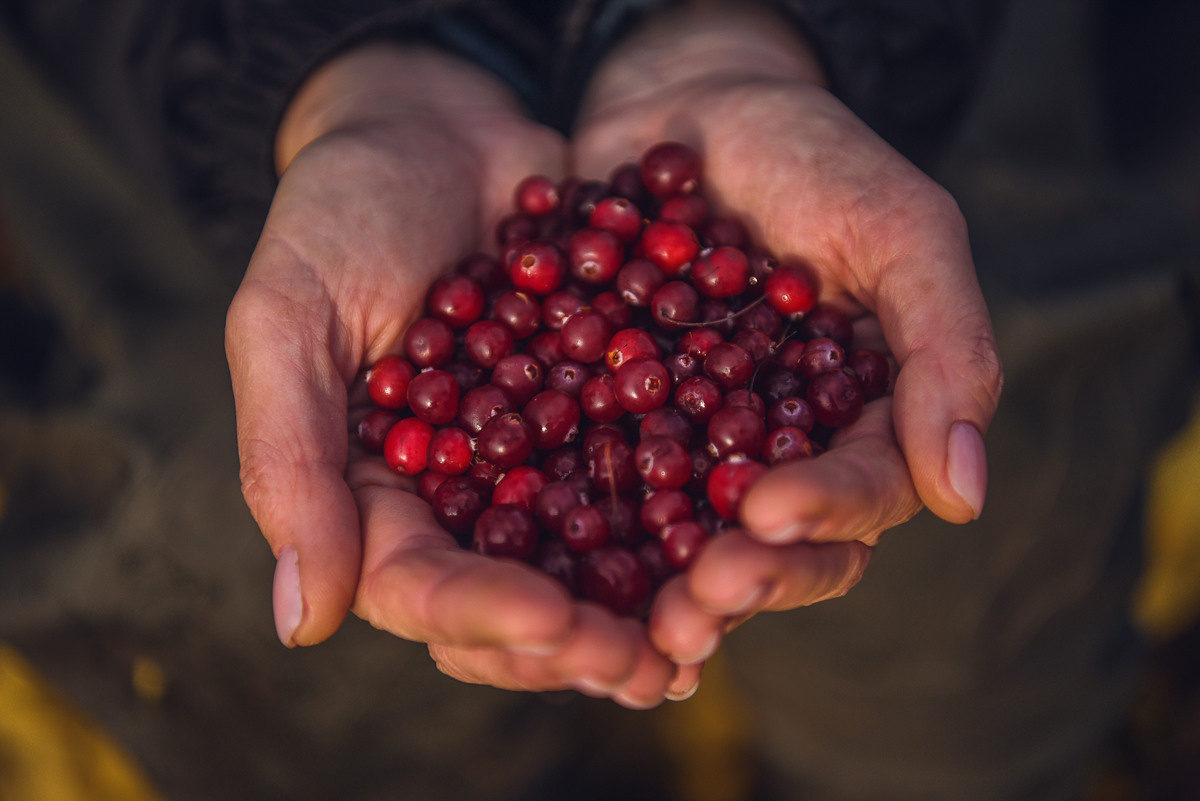 Рдея. Event фотограф Степанова Александра
