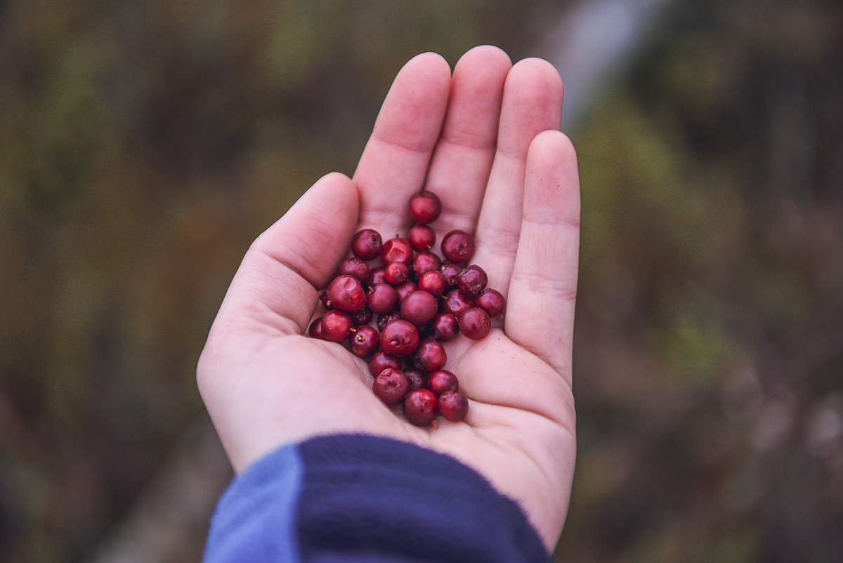 Рдея. Event фотограф Степанова Александра