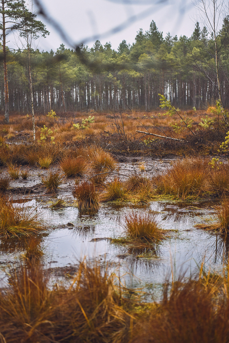 Рдея. Event фотограф Степанова Александра