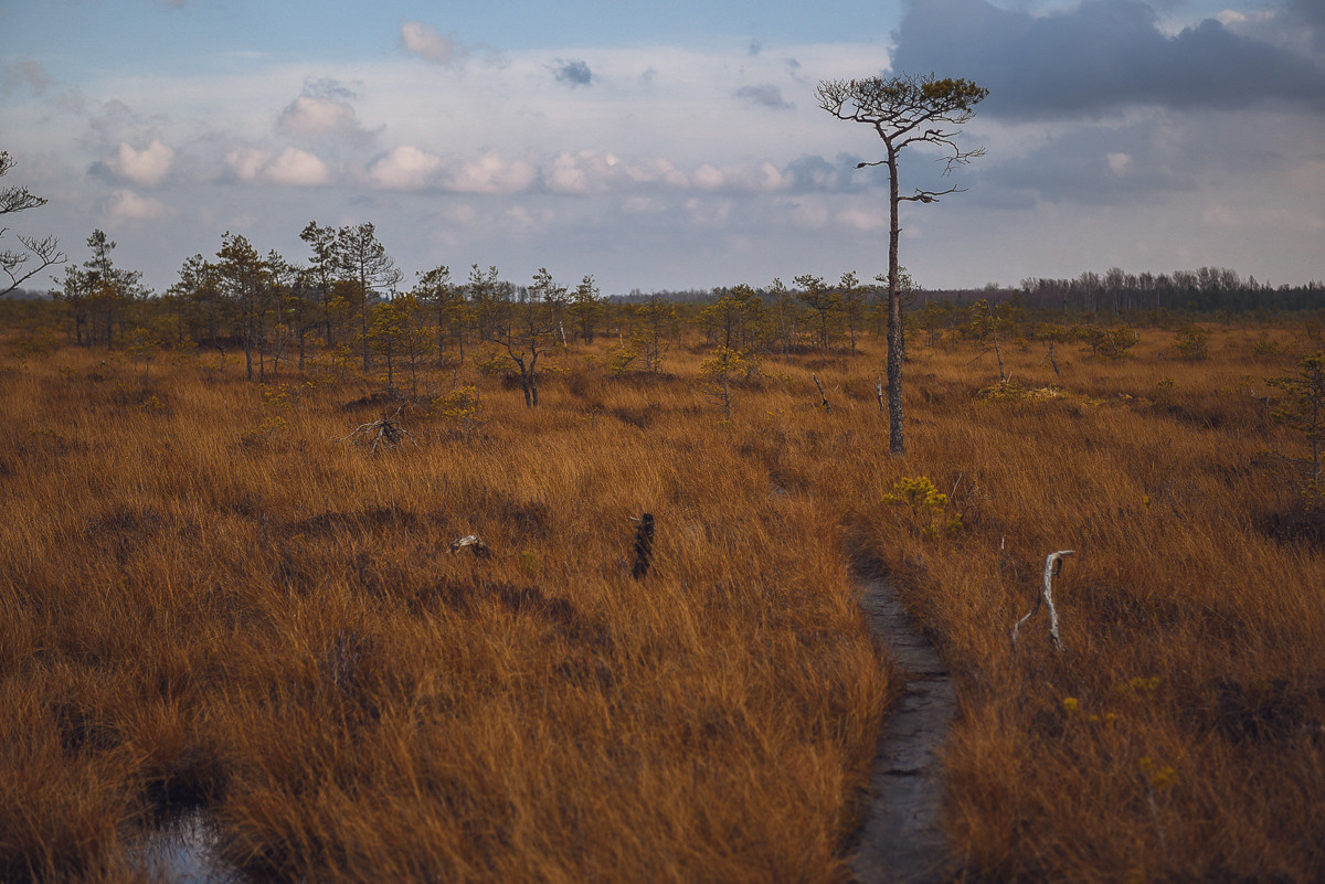 Рдея. Event фотограф Степанова Александра