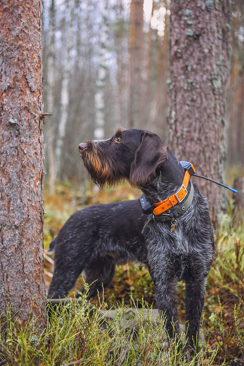 Рдея. Event фотограф Степанова Александра