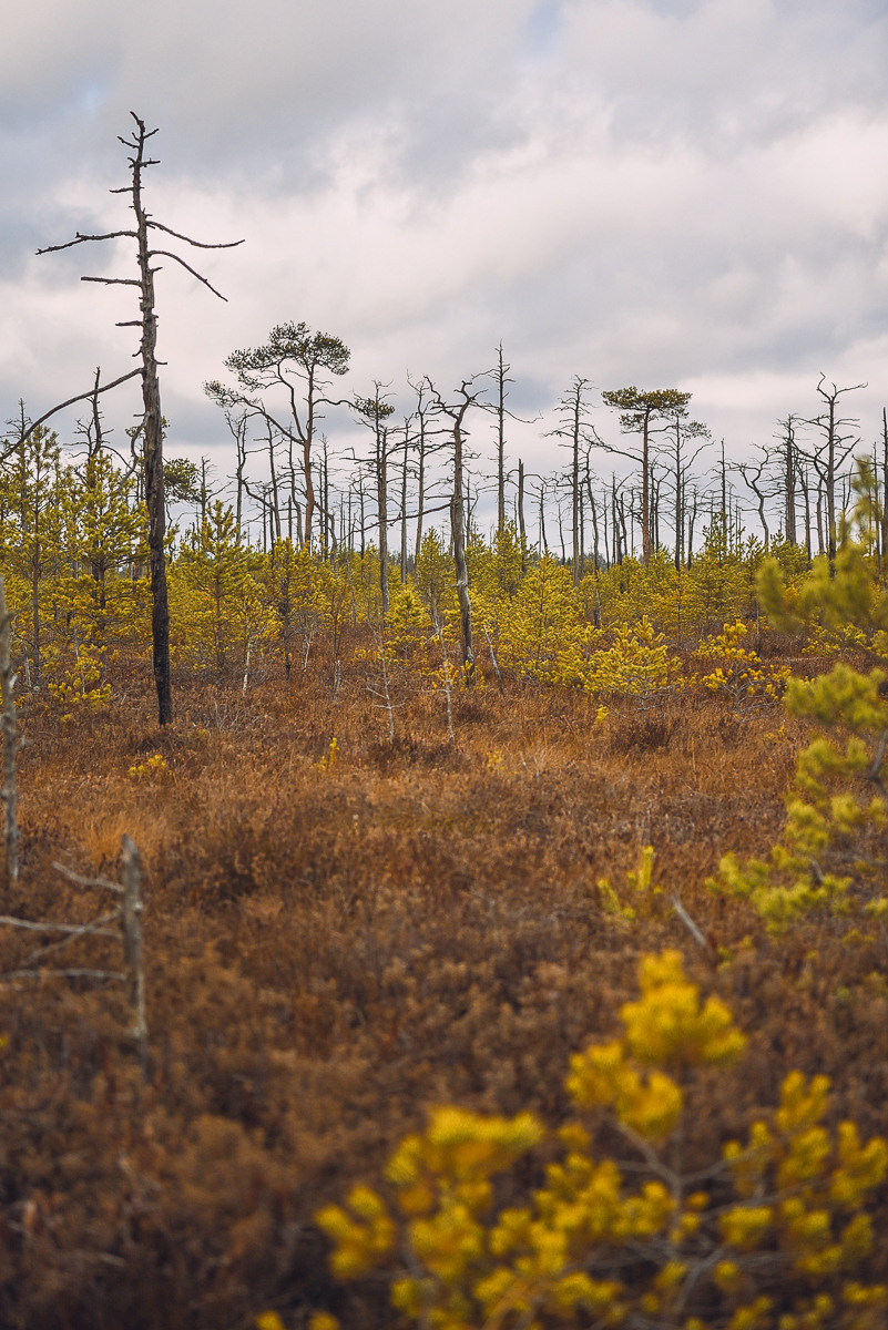 Рдея. Event фотограф Степанова Александра