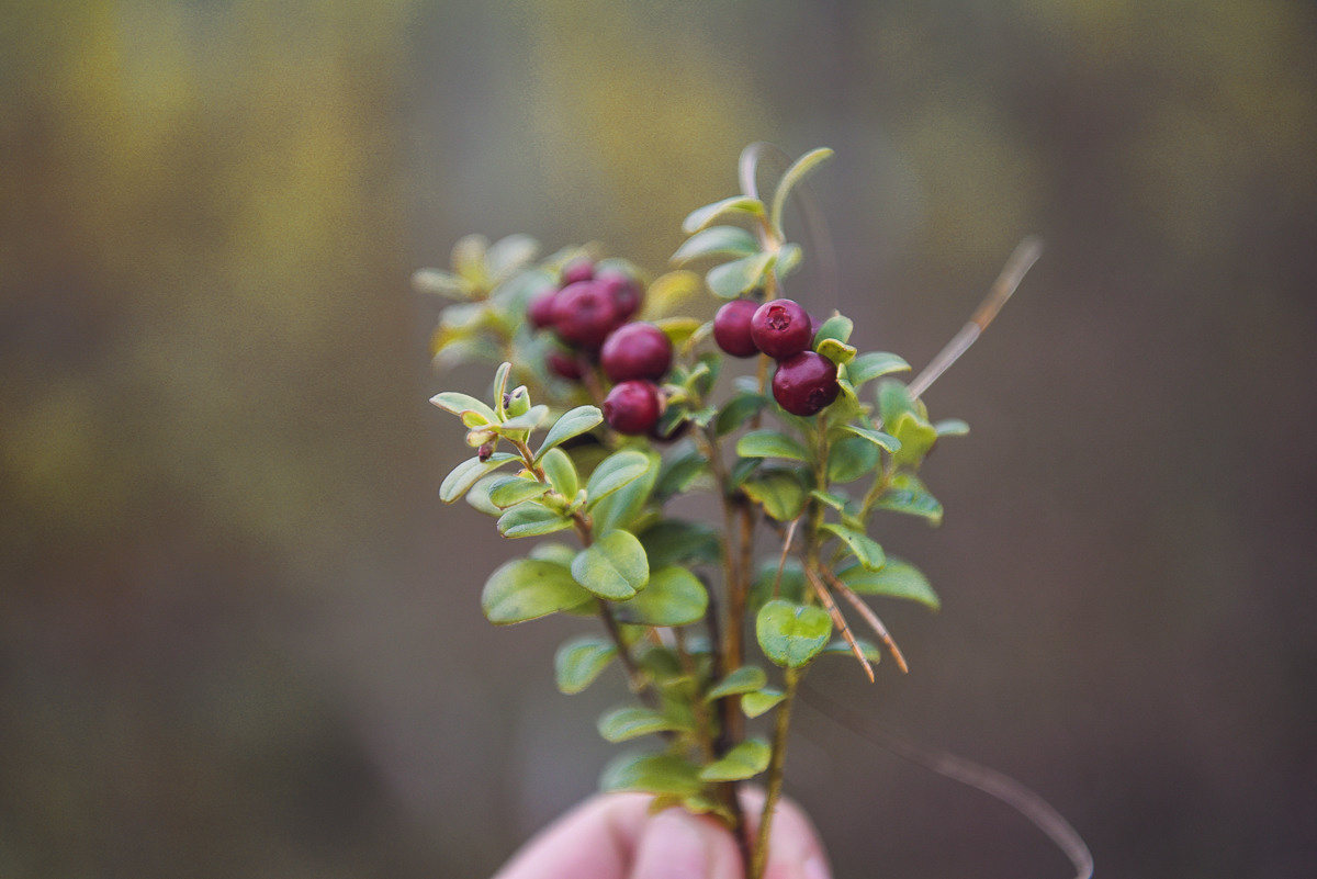 Рдея. Event фотограф Степанова Александра