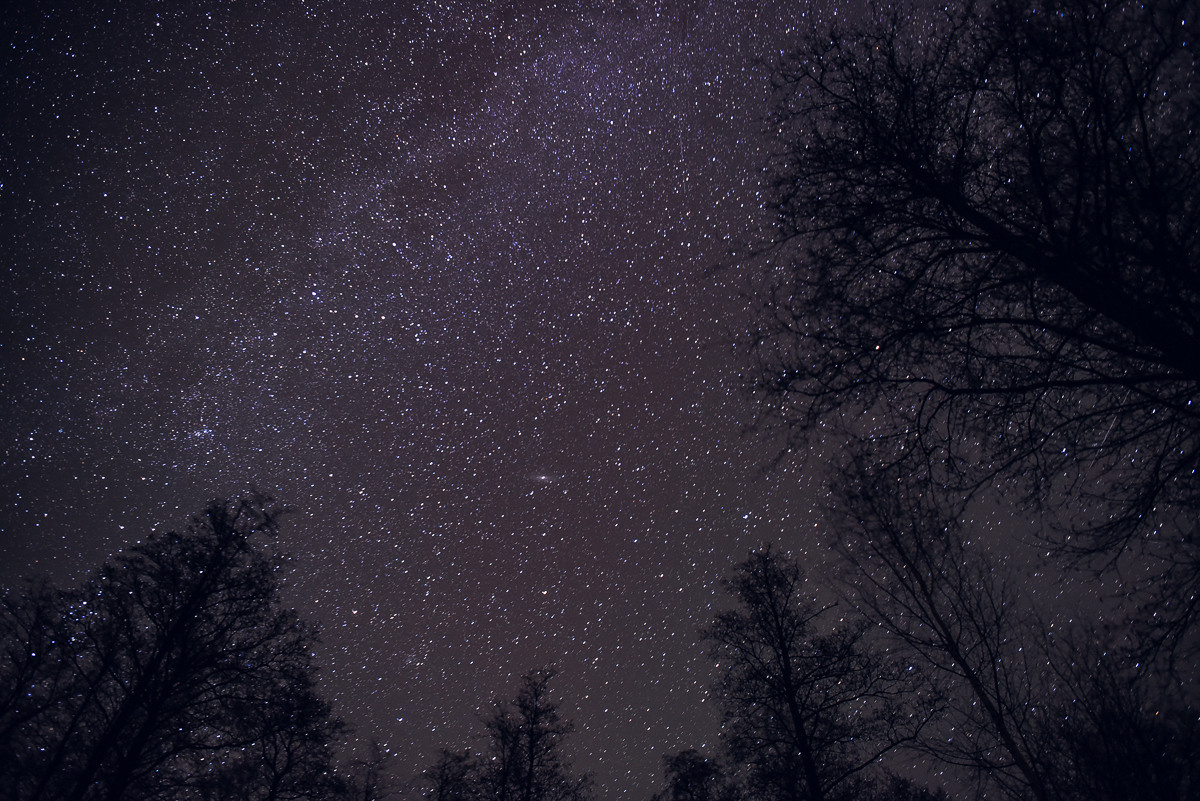 Рдея. Event фотограф Степанова Александра