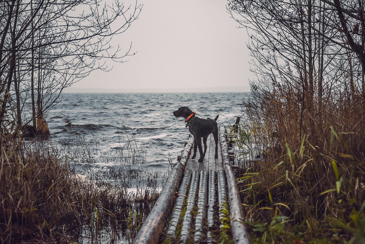 Рдея. Event фотограф Степанова Александра