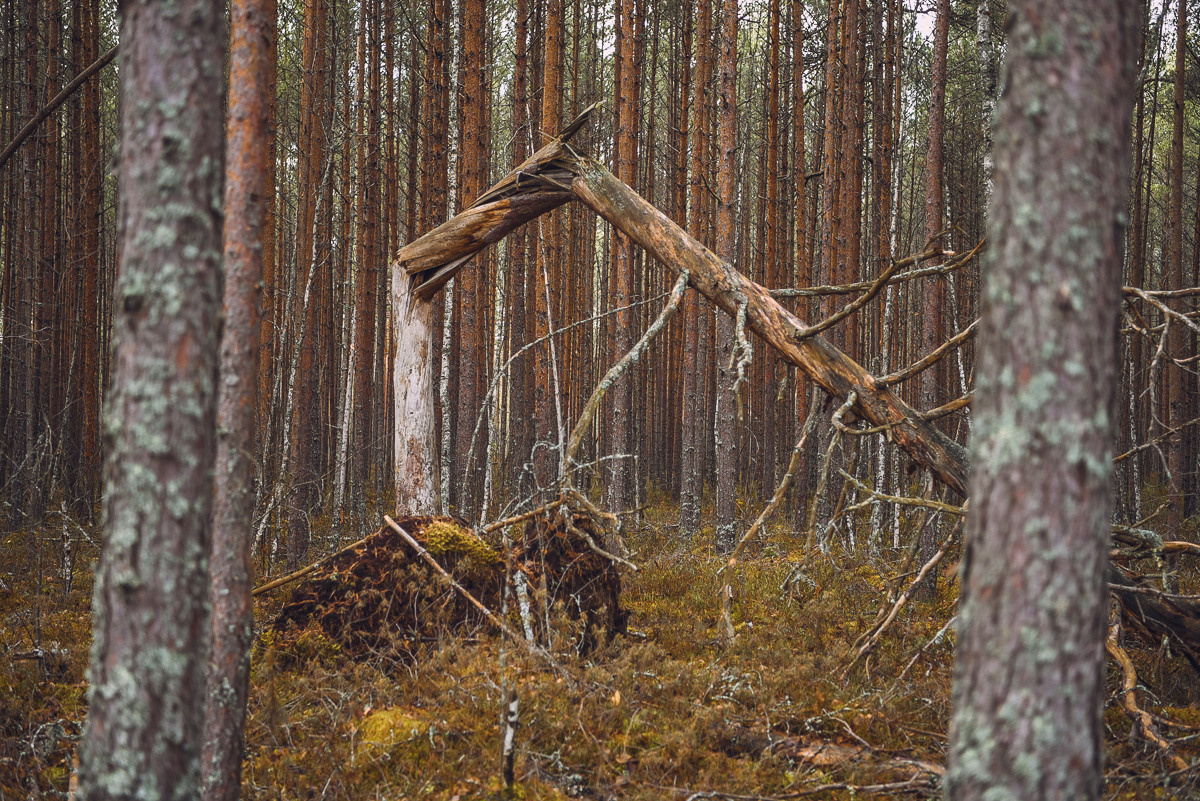 Рдея. Event фотограф Степанова Александра