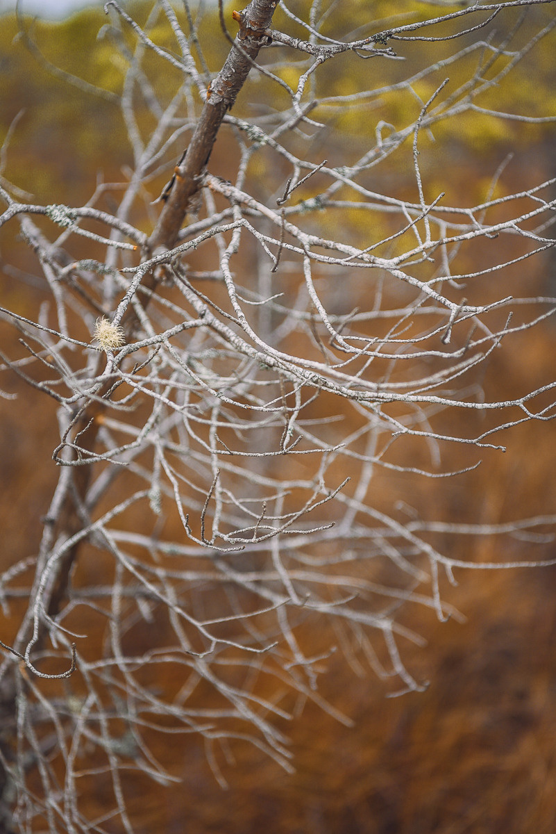 Рдея. Event фотограф Степанова Александра