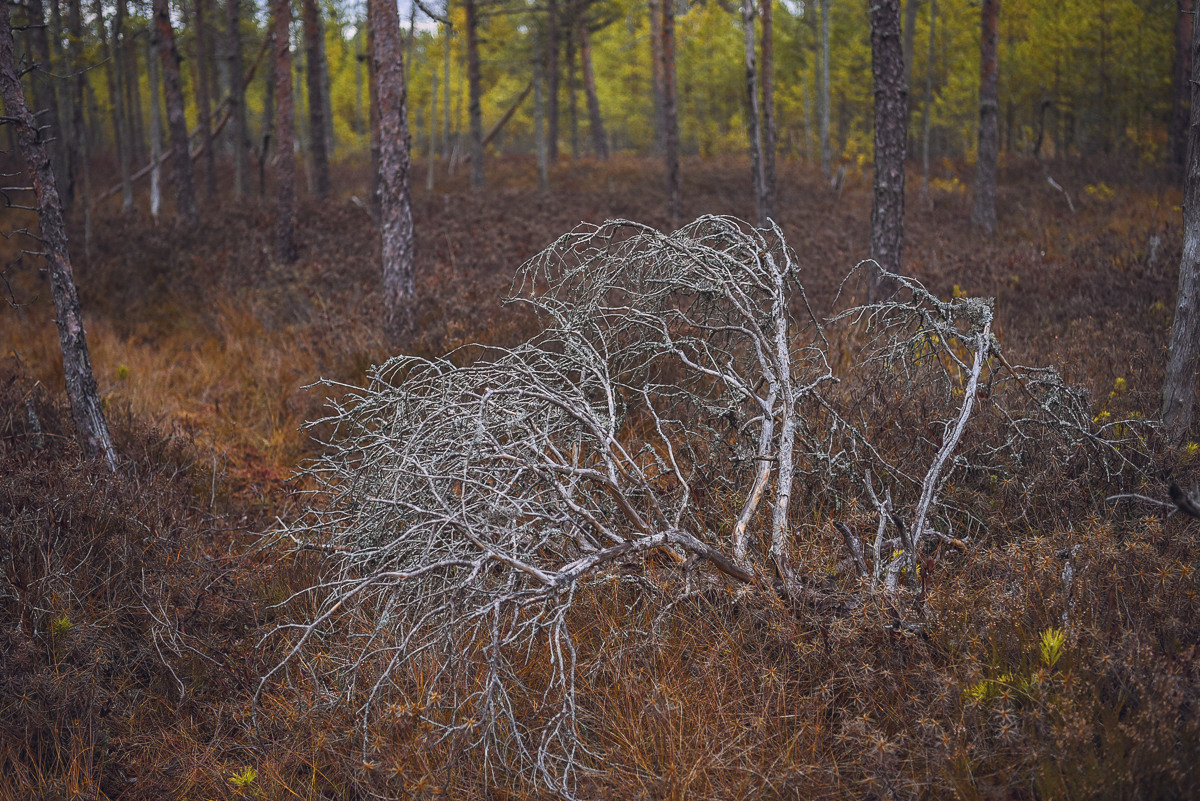 Рдея. Event фотограф Степанова Александра