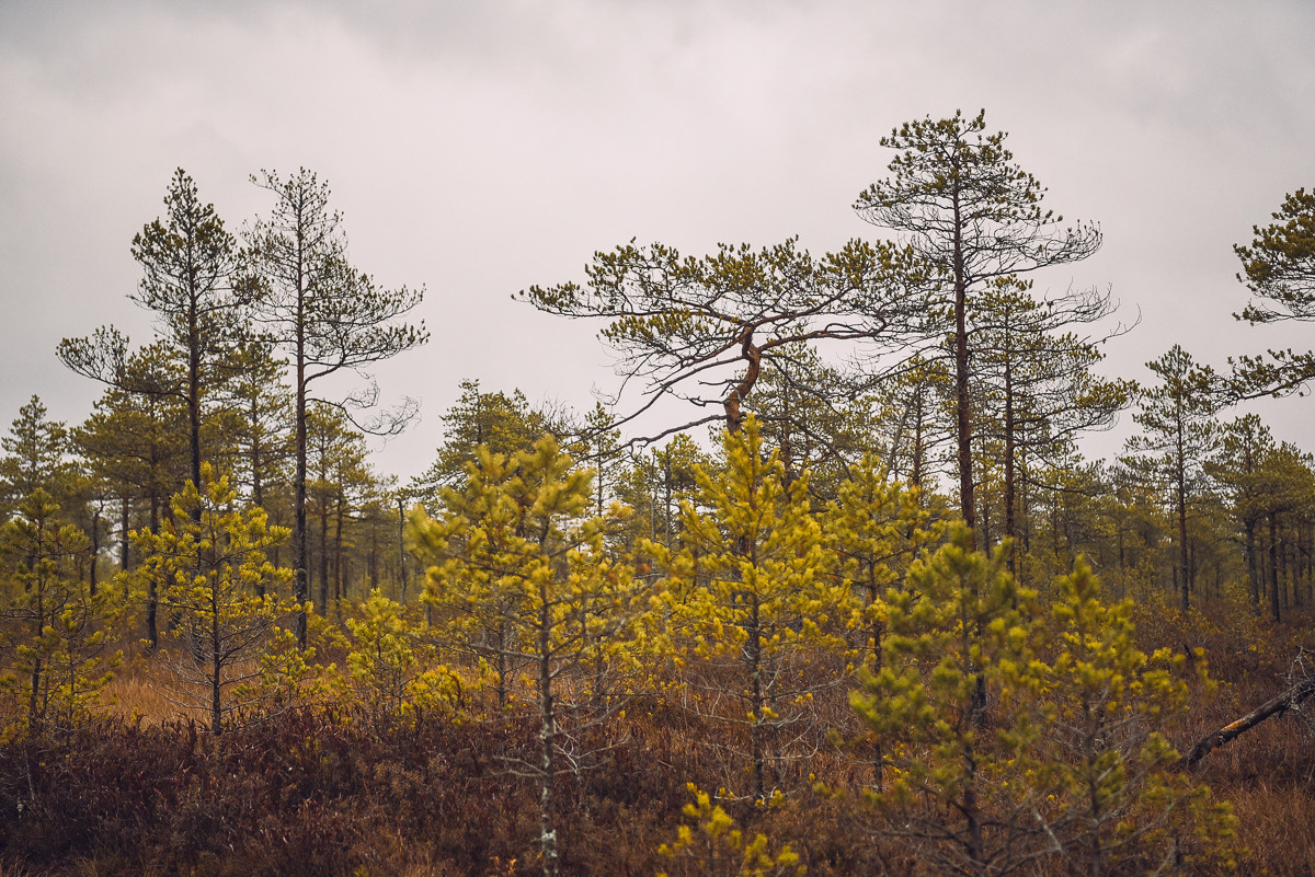 Рдея. Event фотограф Степанова Александра