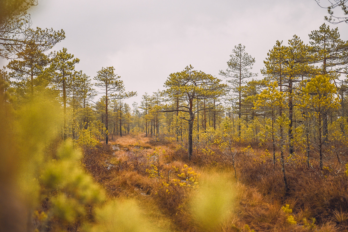 Рдея. Event фотограф Степанова Александра
