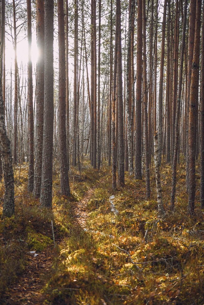 Рдея. Event фотограф Степанова Александра