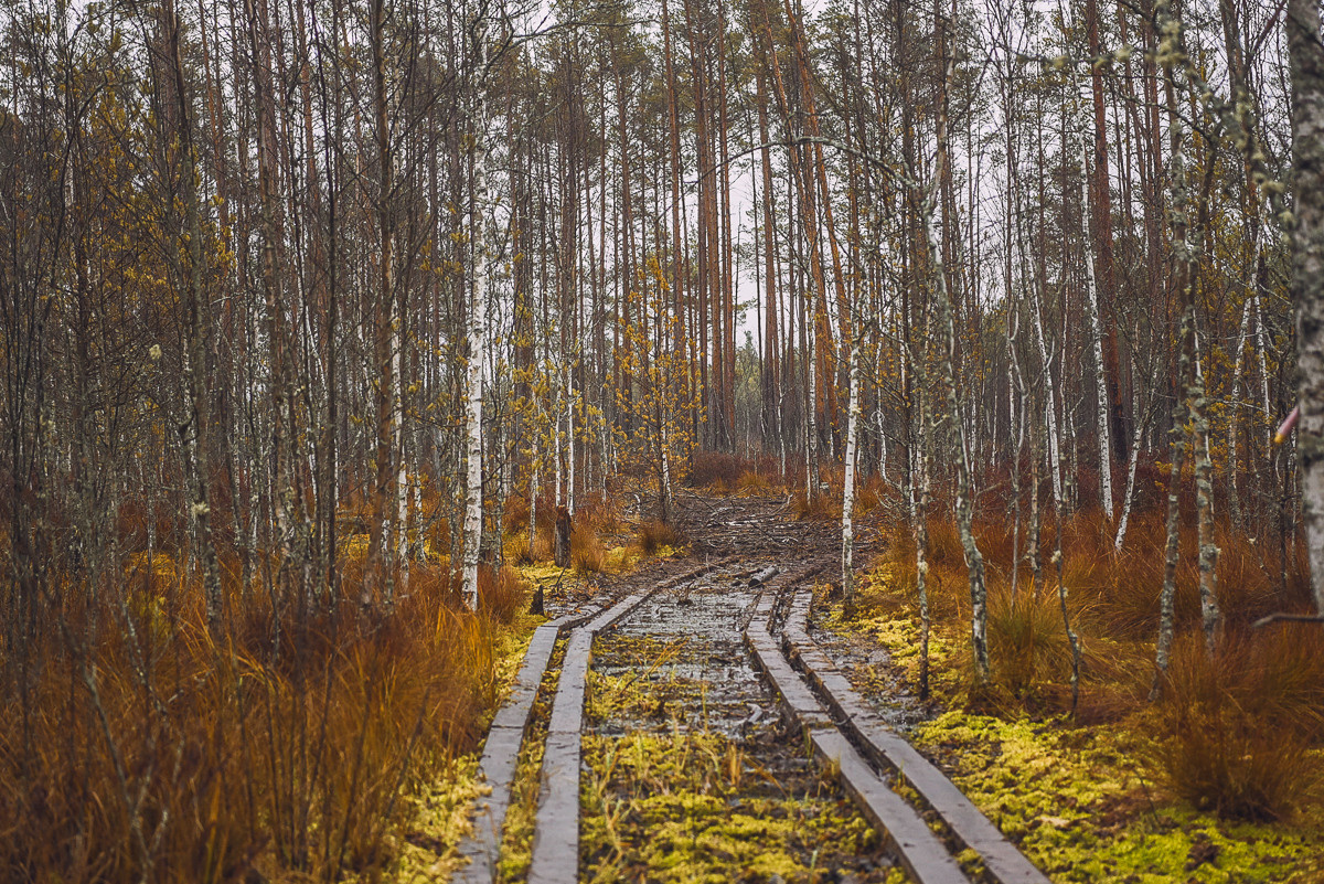Рдея. Event фотограф Степанова Александра
