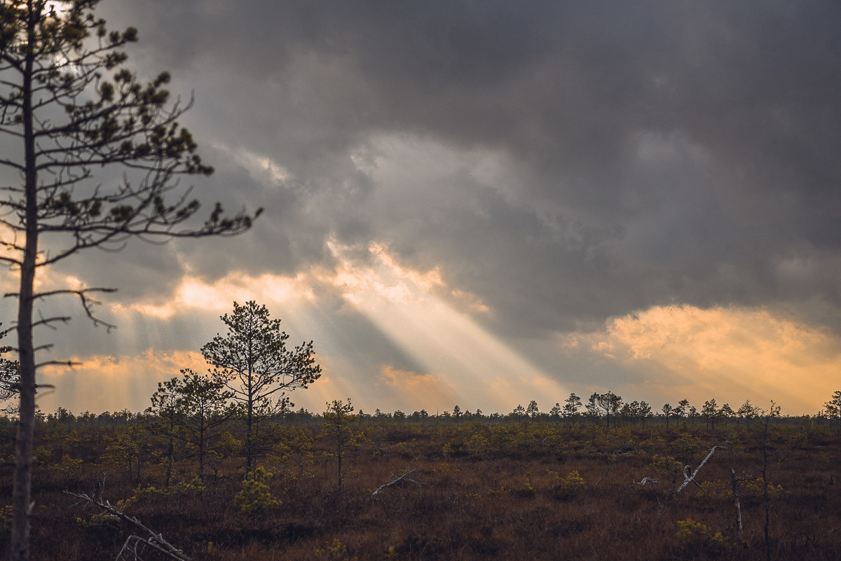 Рдея. Event фотограф Степанова Александра