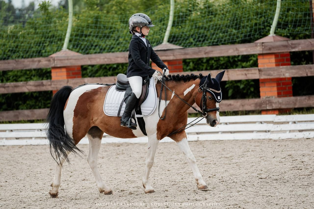СОРЕВНОВАНИЯ ПО ВЫЕЗДКЕ, КОНИШКОЛА «ОЛИМПИЯ». Куракина Дарья • Конный фотограф