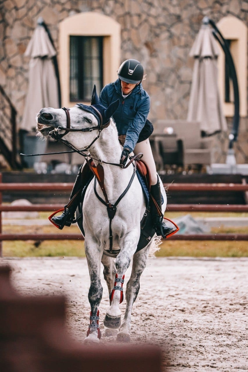 Летние соревнования. Фотосессии с лошадьми