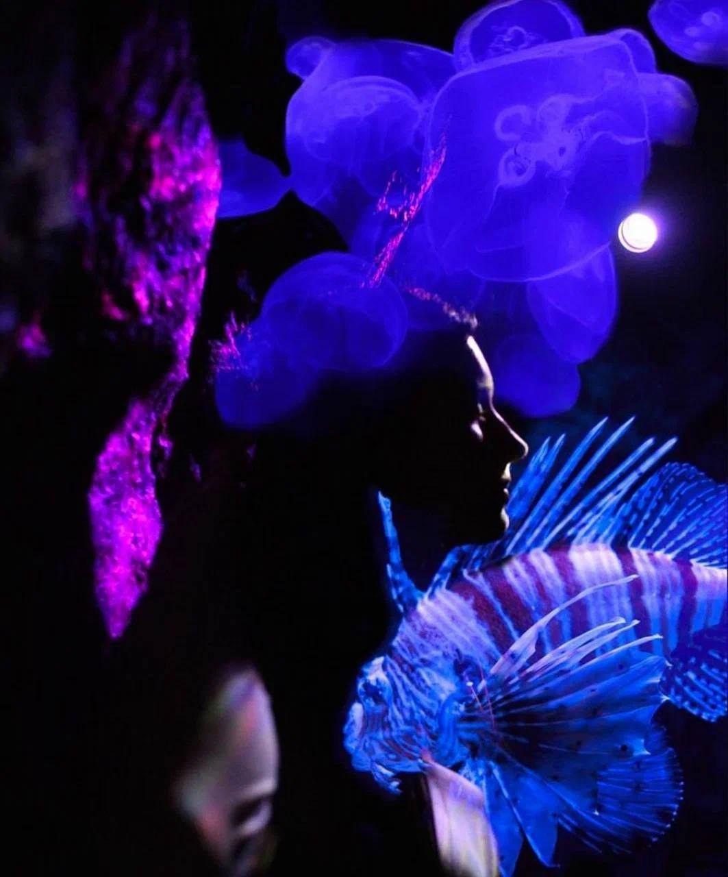 Океонариум. Костюмер, художник кино и телевидения в спб