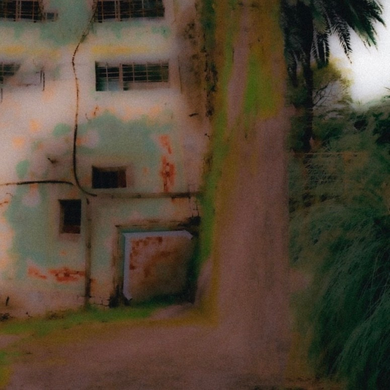 THE BUILDINGS. Визуальный артист Наташа Солнцева