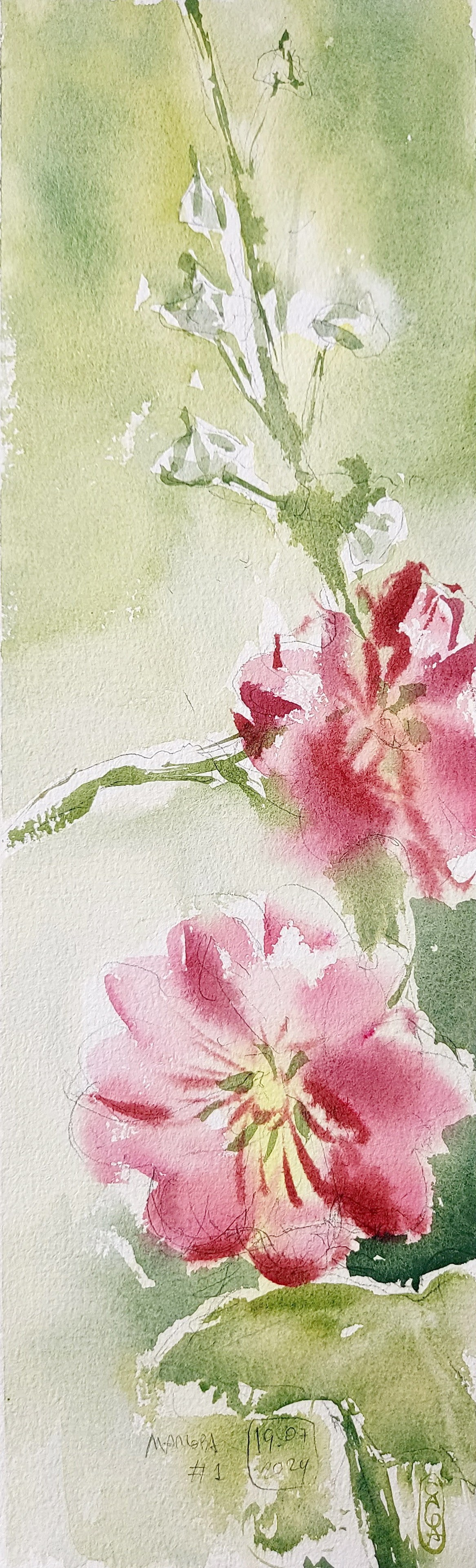 Flowers. Alexander Manaenkov | Watercolor Artist from Siberia
