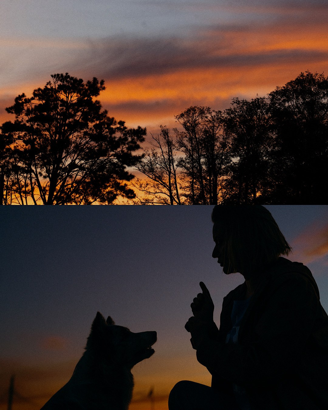 Света, Катрин и Умка. Фотограф анималист в Москве и Санкт-Петербурге Свиридова Анна