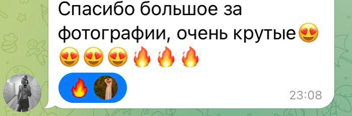 Отзывы из мессенджеров. Мария Черных — портретный и семейный фотограф в Краснодаре