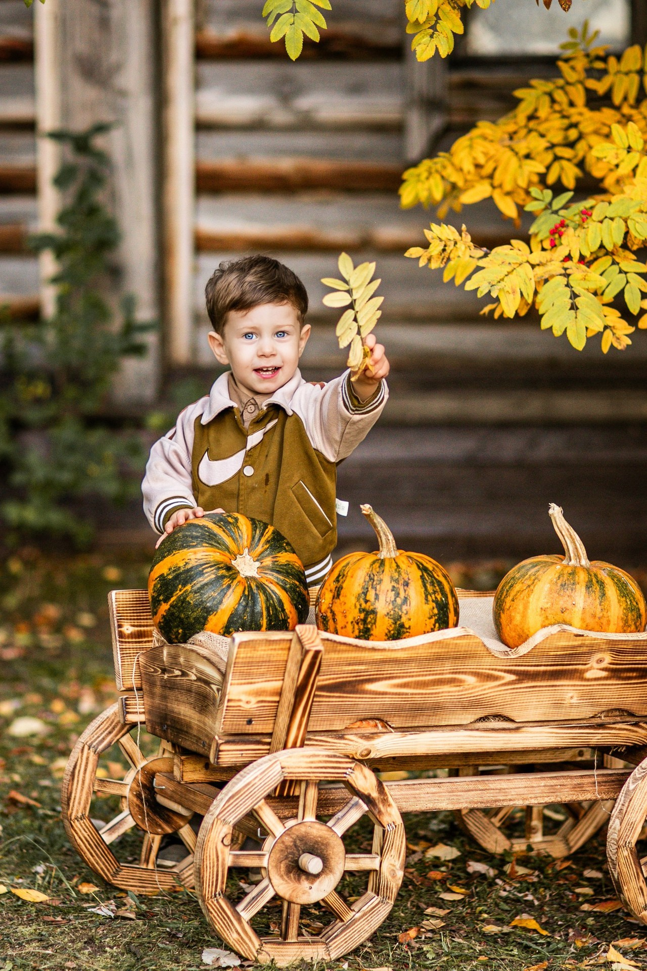 Осенние. Фотограф Елена Вишневская (Ушакова) Нефтеюганск, Сургут, Тюмень