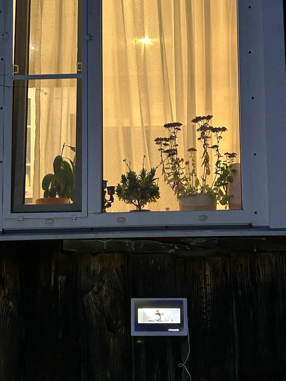 «Выставка прекращена в виду отсутствия события» 2026. Лилия Ким. Междисциплинарный художник