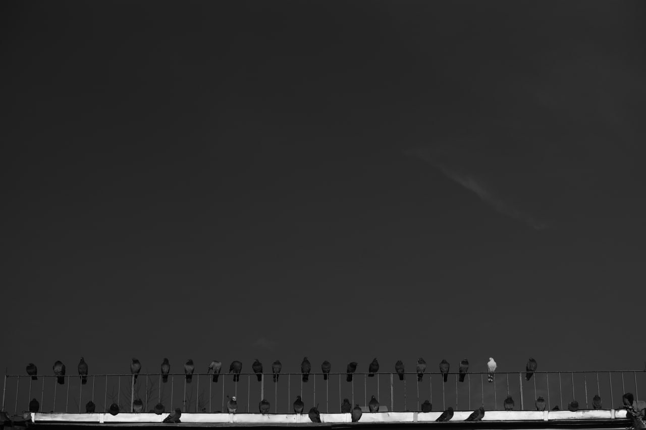 Автор: Гагик Егиазарян