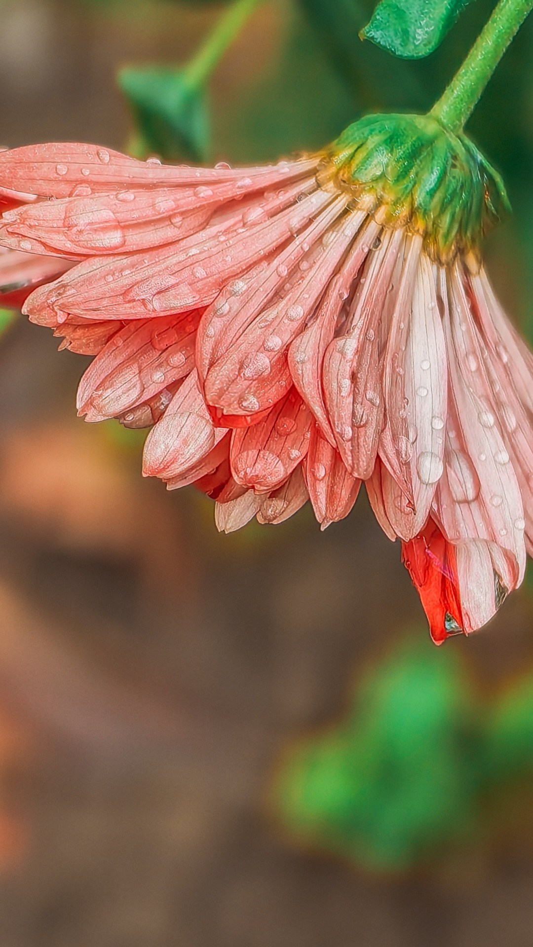Академия фотографии. Фото/Ретушь/Обучение