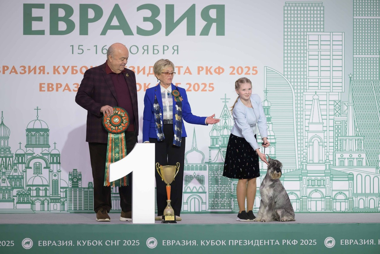 💕Отзывы. Фотограф анималист Елена Галдина г. Красноярск