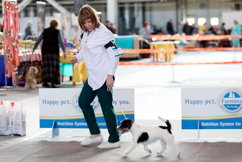 Port Fortis Destiny Of Love