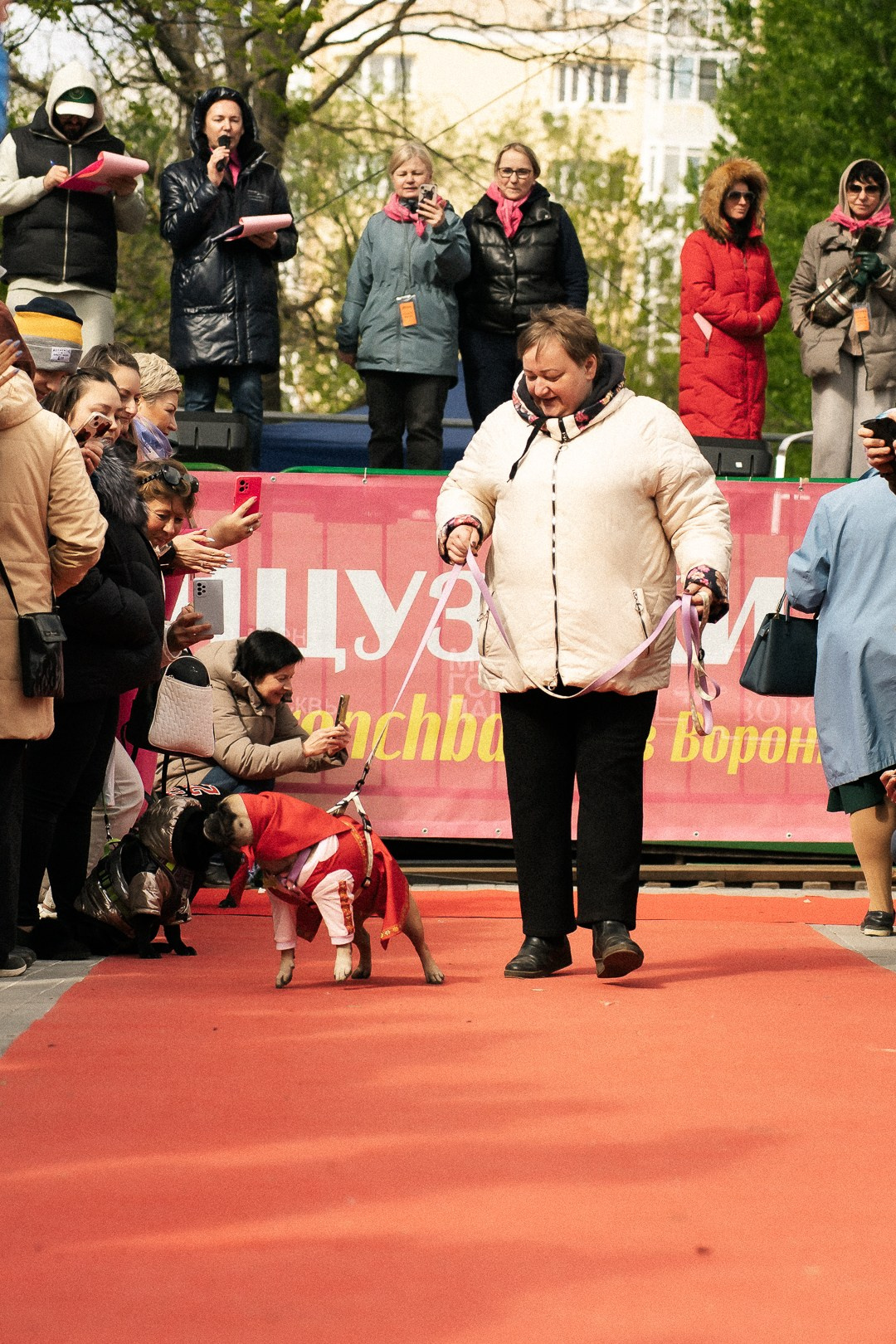 Парад Бульдогов. Axenov_eugene