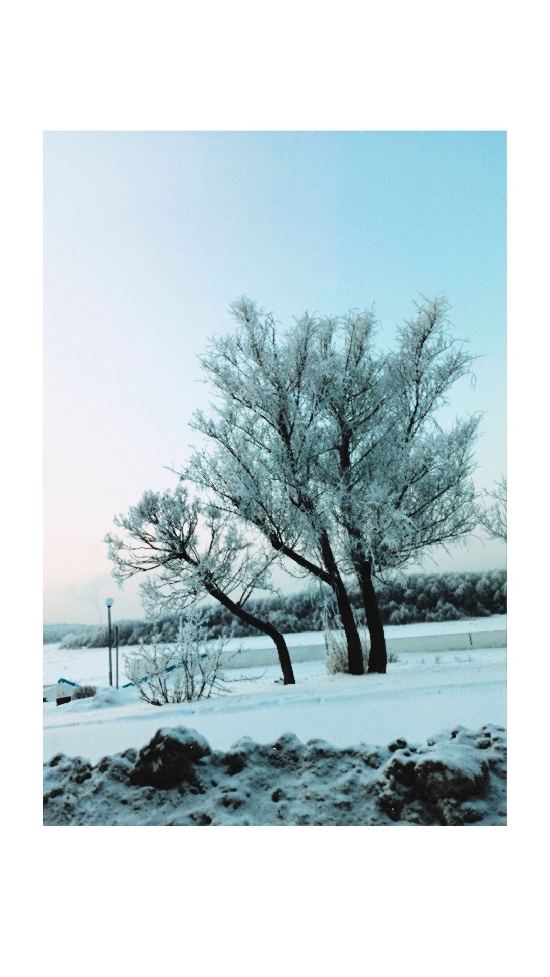 Зима по-сибирски. Главная