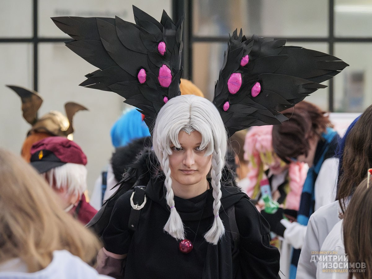 Гик-фестиваль