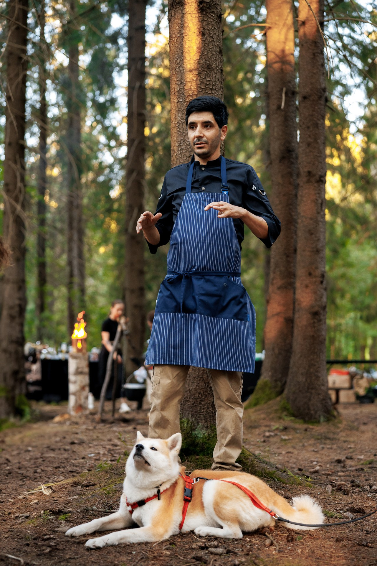 Forest Hill. Night2Day Санкт-Петербург