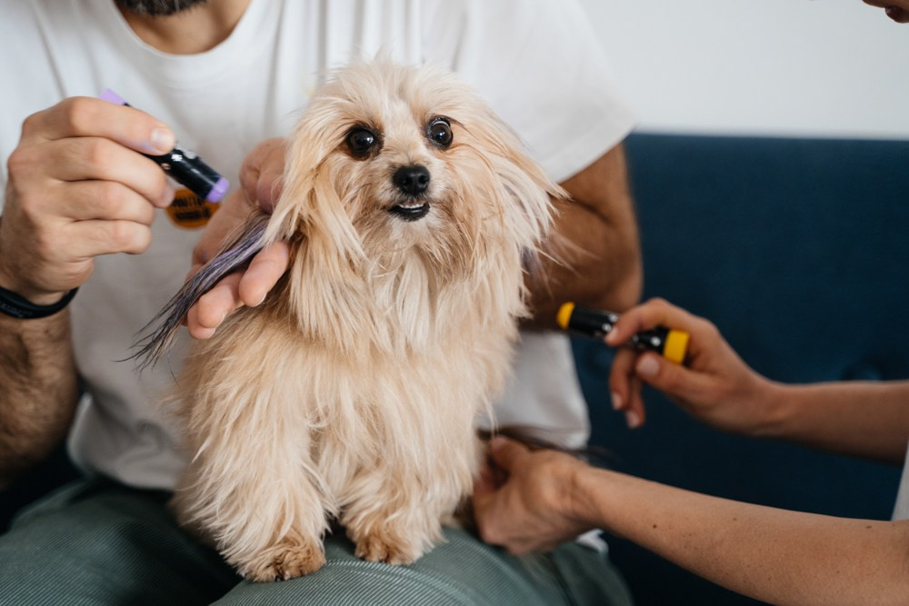 Испания. Фотограф Евстигнеев Илья