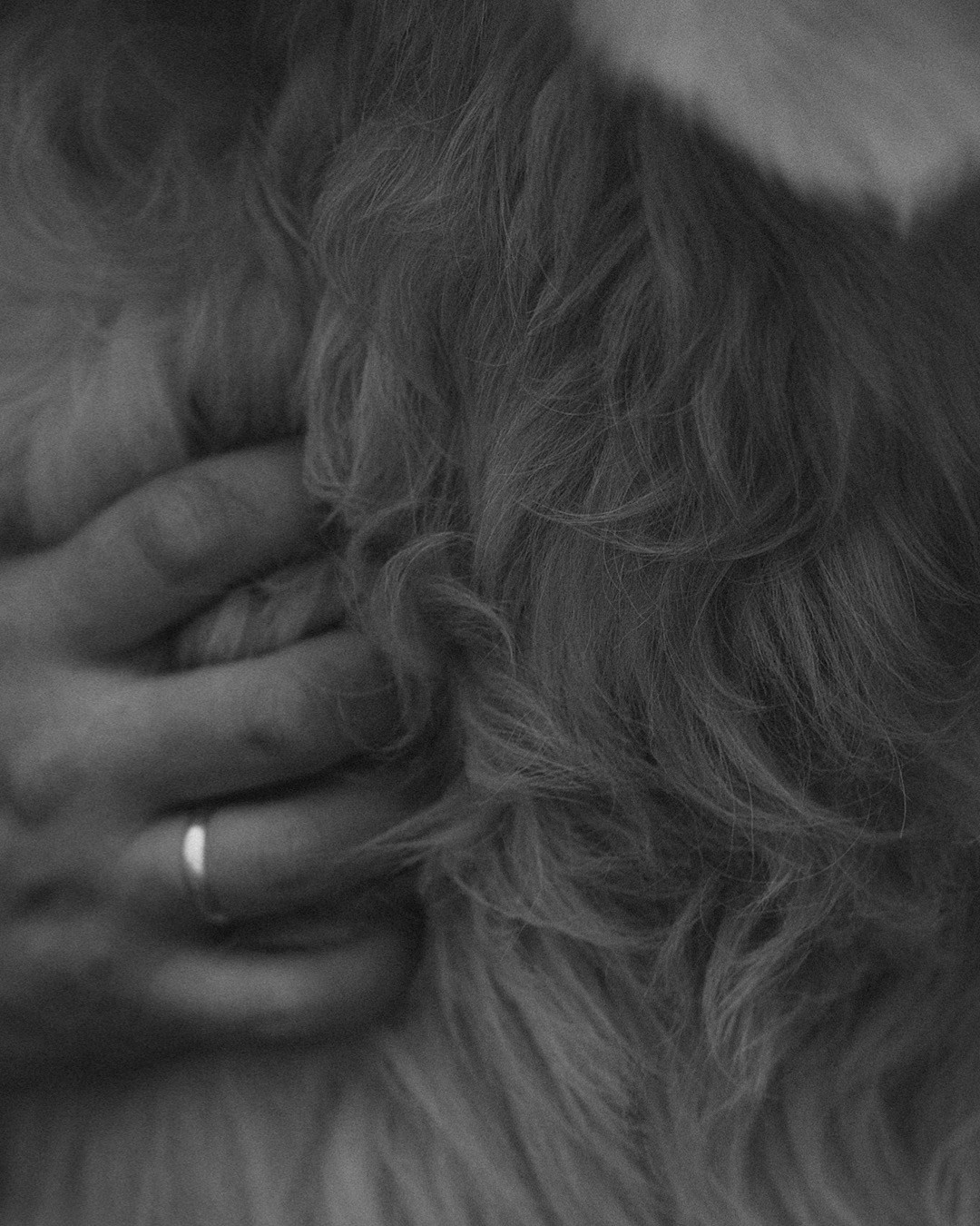 Кристина, Александр, Каролина, Владлен и Космос. Фотограф анималист в Москве и Санкт-Петербурге Свиридова Анна