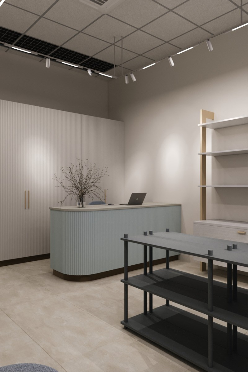 Saint Petersburg, shopping mall Gallery. Olga Goldina architectural interior design, styling and staging