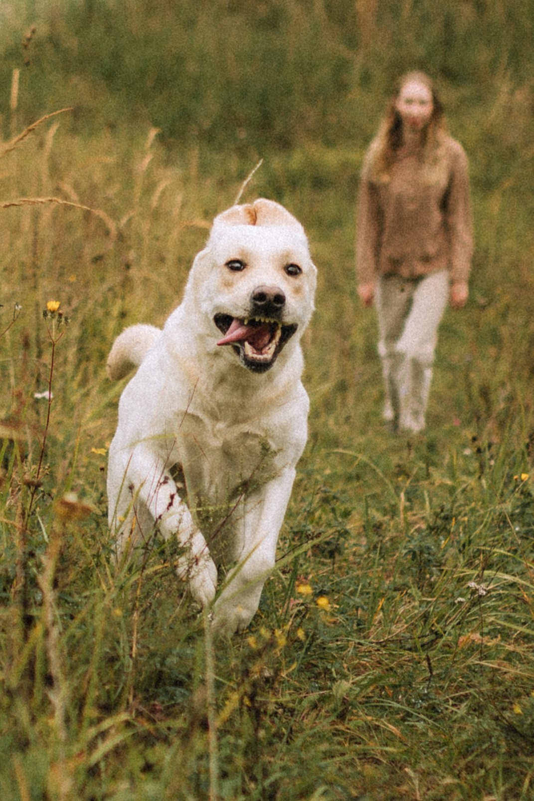 Елена и золотистый ретривер. Фотограф Александра Кузнецова