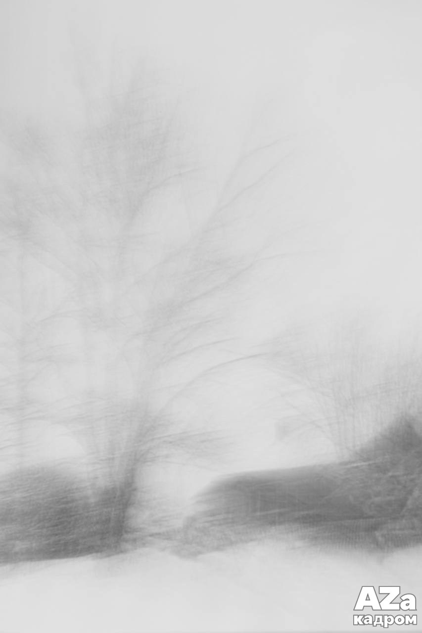 AZакадром «Что для меня дом». Женский семейный фотограф Тула Москва Захарова Анна