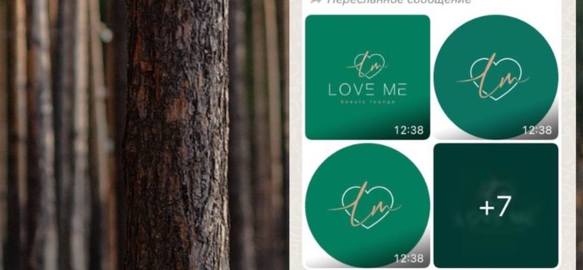 КОНТЕНТ. Фотография. Визуально-чувственный мир души