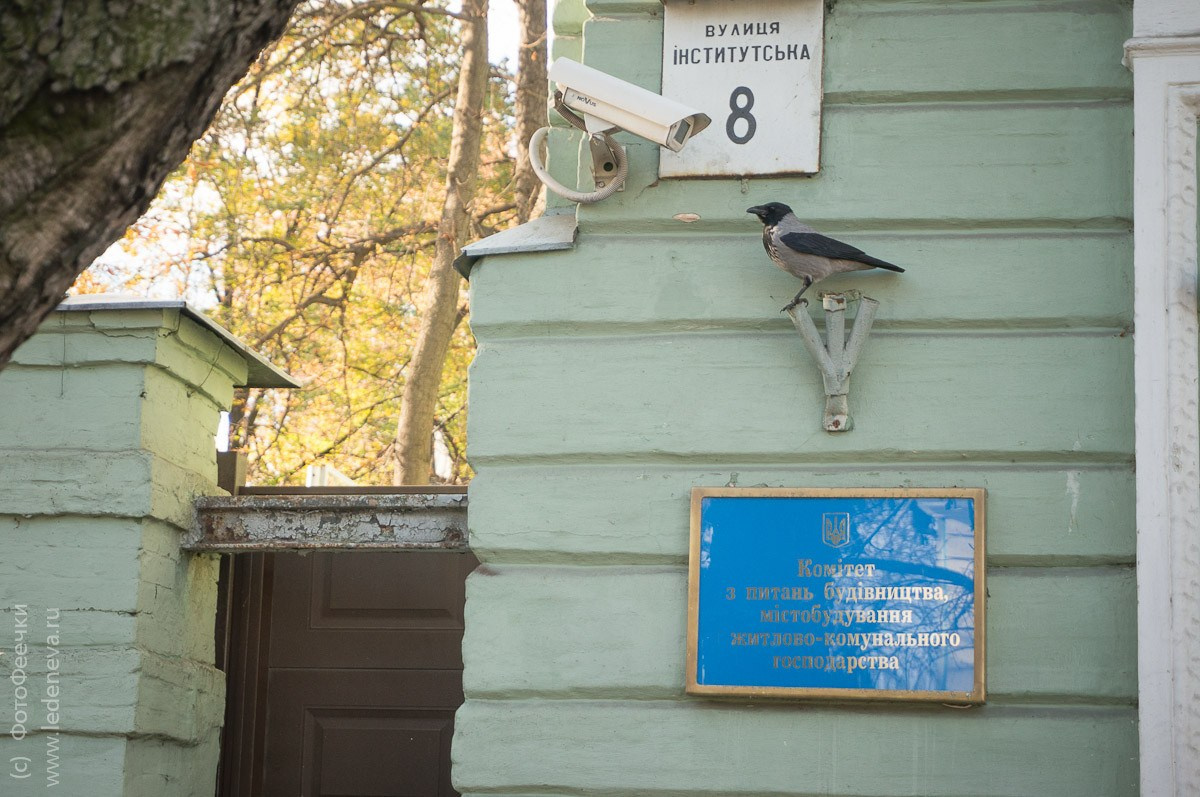 Киев, Украина, октябрь 2011. Анна Леденева Фотограф