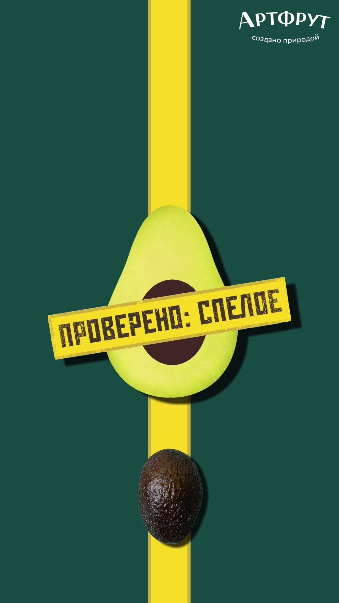 Motion анимация. Фотограф и motion аниматор Екатерина Синевич