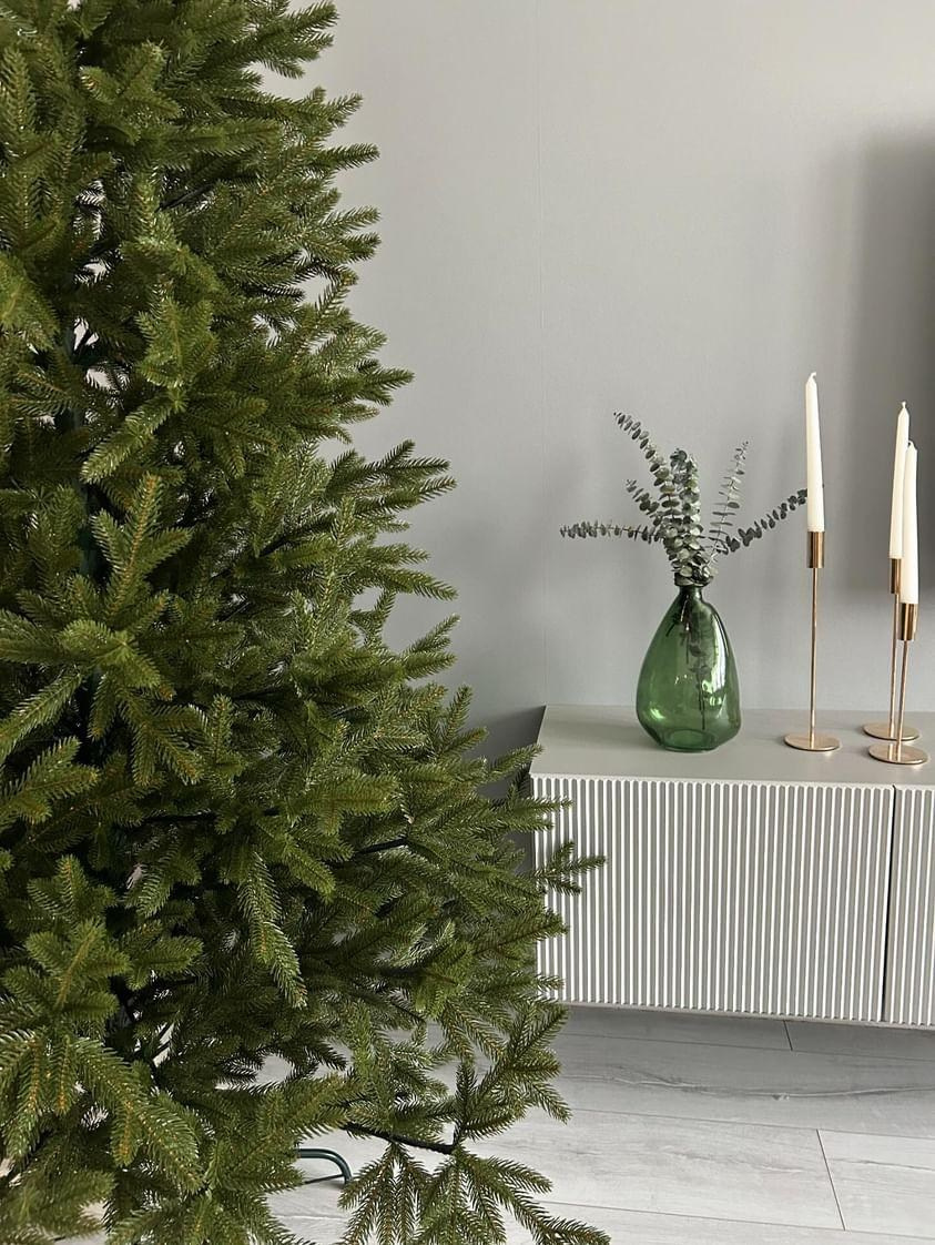 ЛЕСНАЯ. Elki_grodno