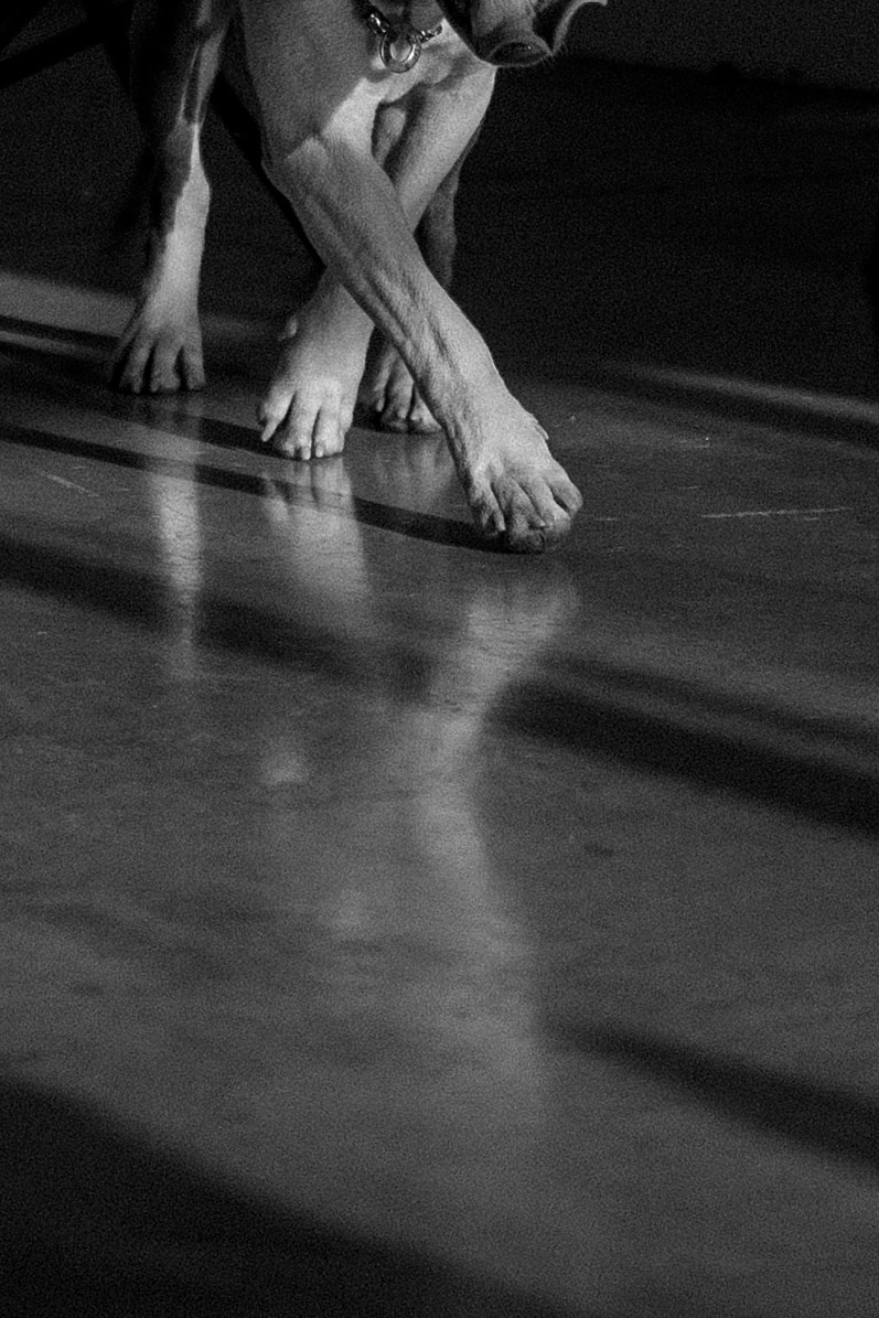 Саша и Кракен. Фотограф — Анималист | Санкт-Петербург