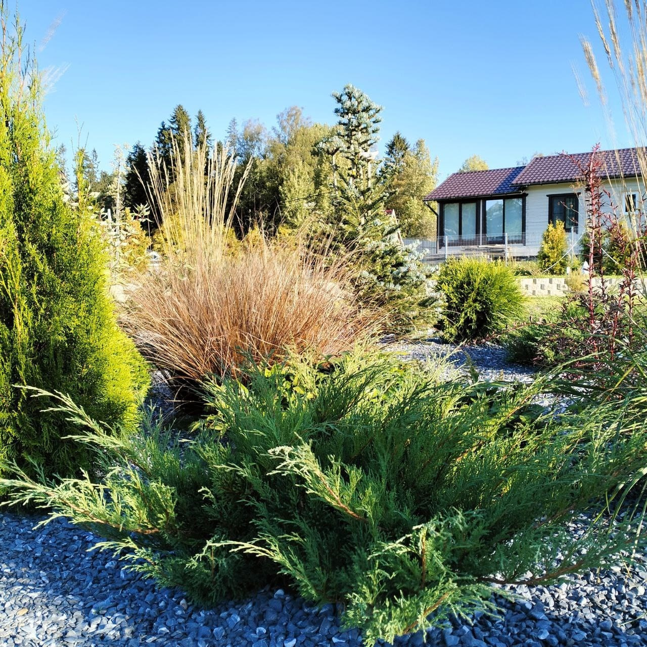 Сад за сезон. Дизайнер интерьера, Санкт-Петербург